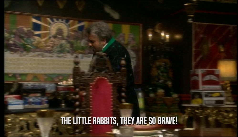 THE LITTLE RABBITS, THEY ARE SO BRAVE!  