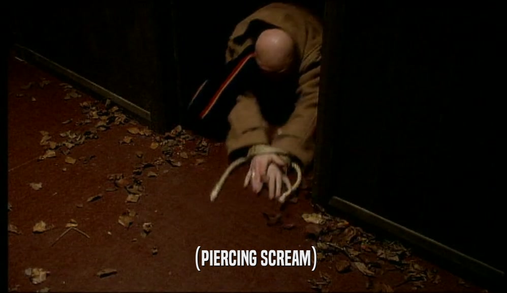 (PIERCING SCREAM)  