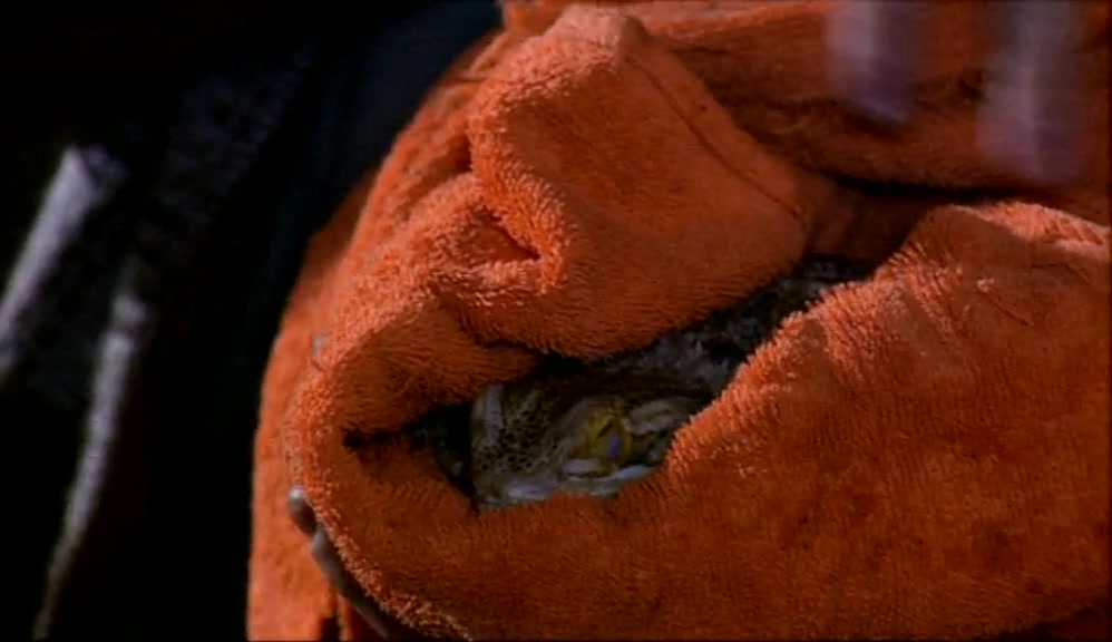 NORMALLY, HE LOVES HIS LOCUSTS BUT,  