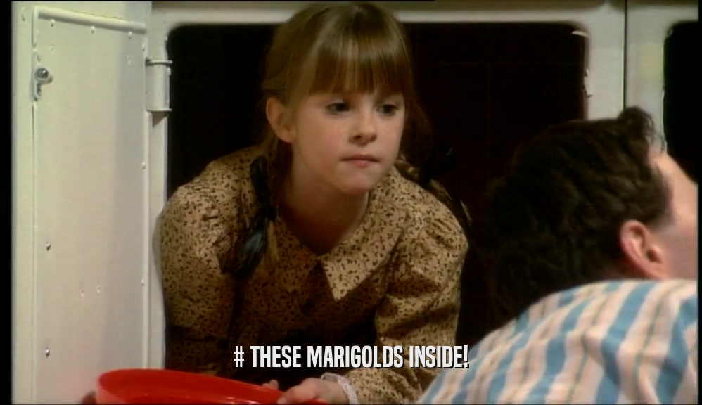 # THESE MARIGOLDS INSIDE!  
