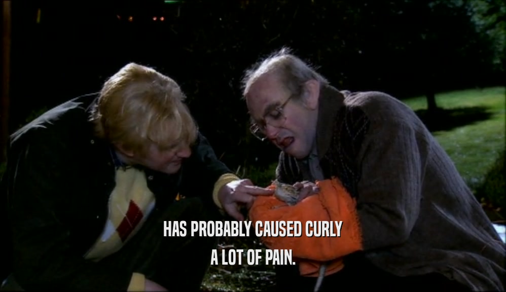 HAS PROBABLY CAUSED CURLY A LOT OF PAIN. 