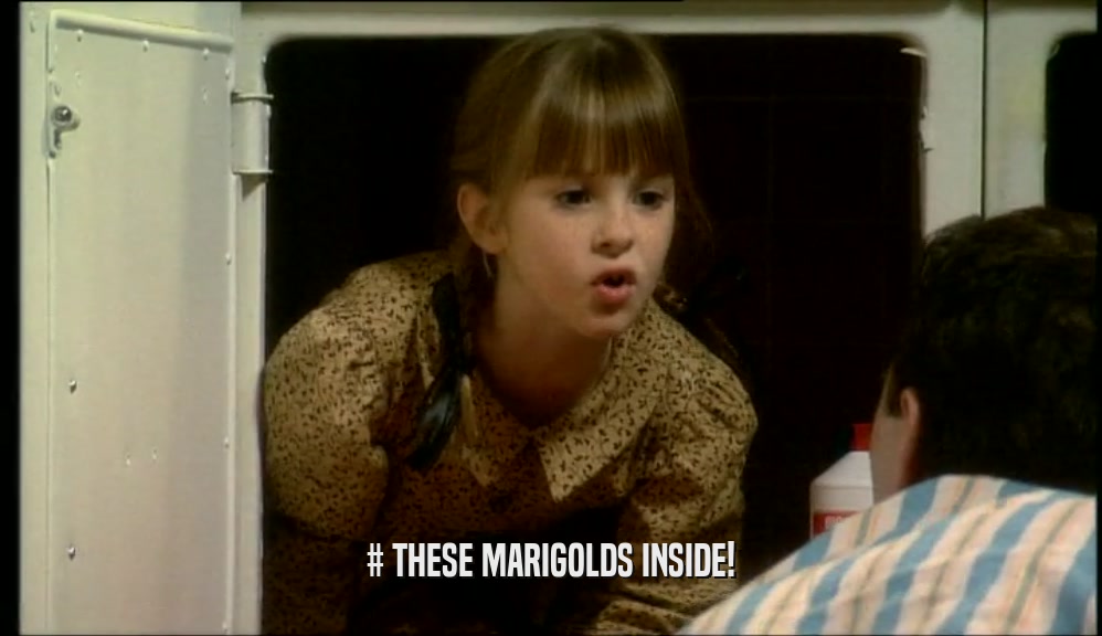 # THESE MARIGOLDS INSIDE!  