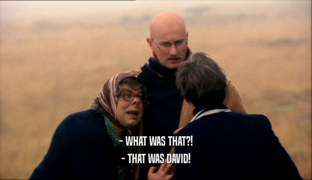 - WHAT WAS THAT?! - THAT WAS DAVID! 