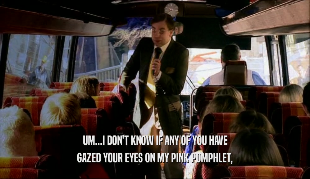 UM...I DON'T KNOW IF ANY OF YOU HAVE GAZED YOUR EYES ON MY PINK POMPHLET, 