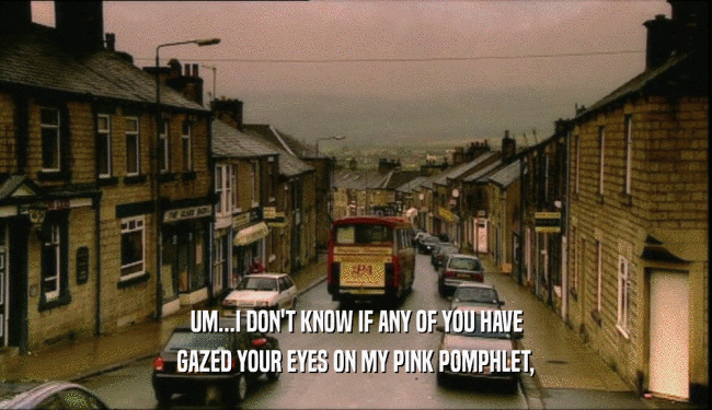 UM...I DON'T KNOW IF ANY OF YOU HAVE GAZED YOUR EYES ON MY PINK POMPHLET, 