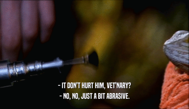 - IT DON'T HURT HIM, VET'NARY? - NO, NO, JUST A BIT ABRASIVE. 