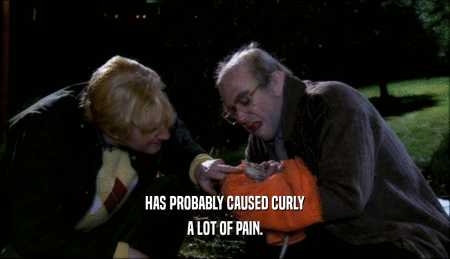 HAS PROBABLY CAUSED CURLY
 A LOT OF PAIN.
 