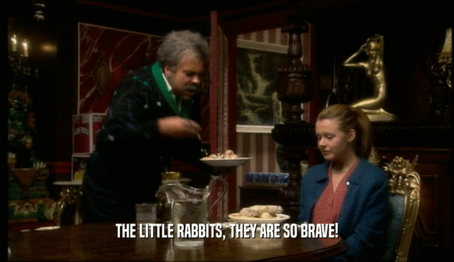 THE LITTLE RABBITS, THEY ARE SO BRAVE!  