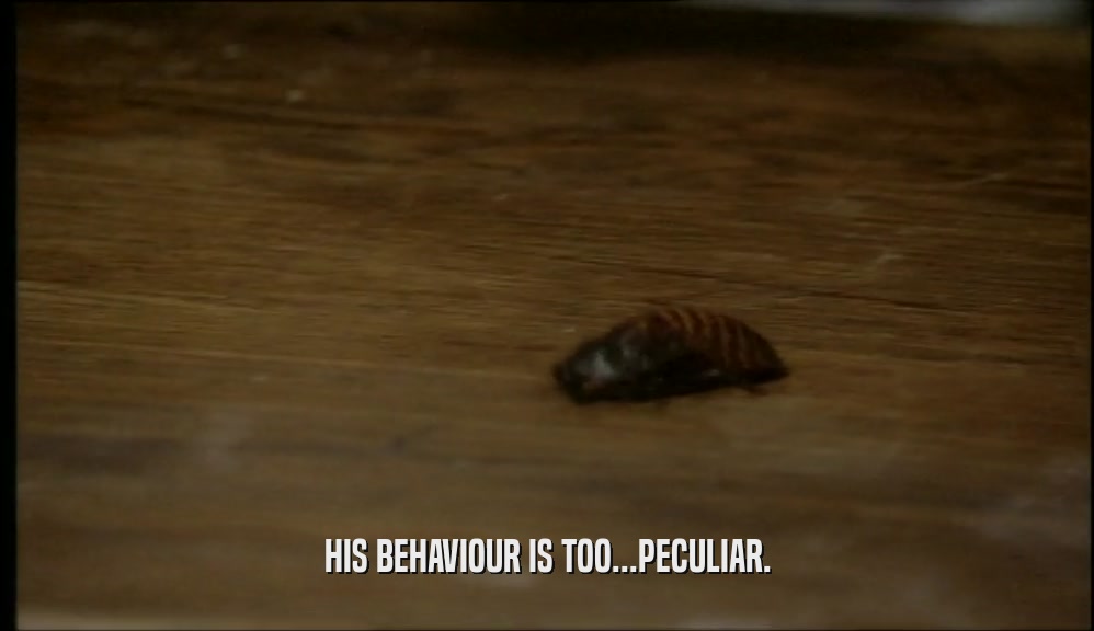 HIS BEHAVIOUR IS TOO...PECULIAR.  