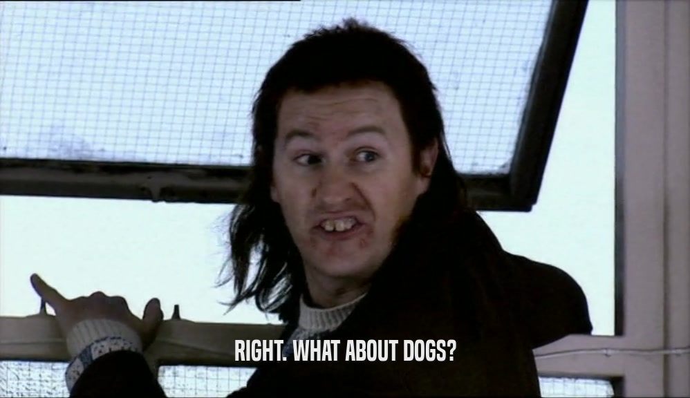 RIGHT. WHAT ABOUT DOGS?  