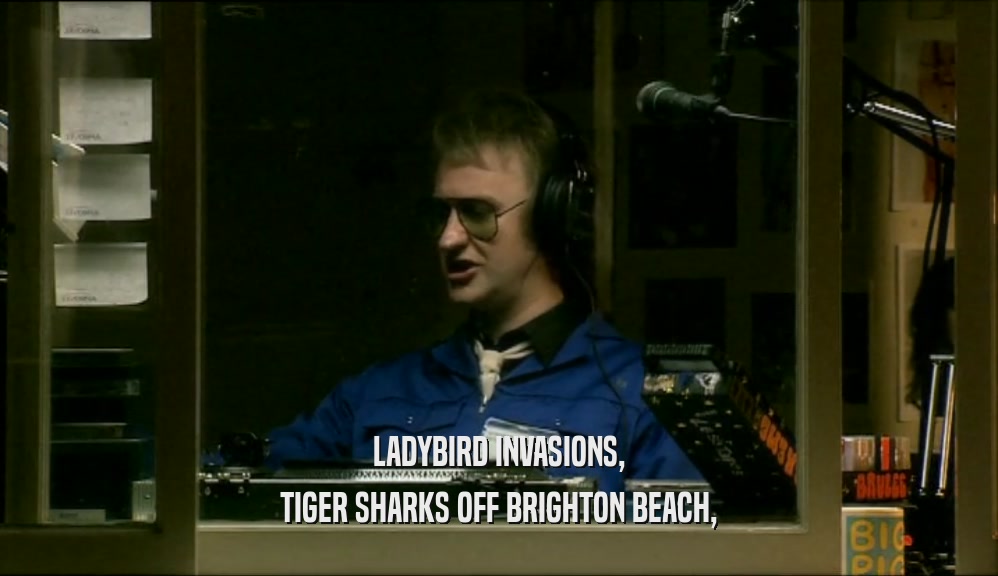LADYBIRD INVASIONS, TIGER SHARKS OFF BRIGHTON BEACH, 