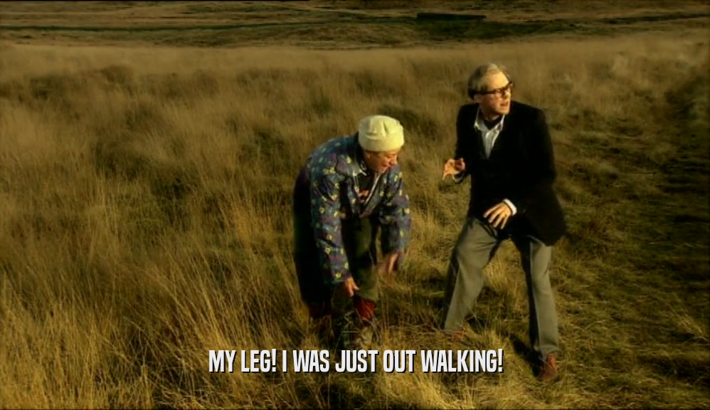 MY LEG! I WAS JUST OUT WALKING!  