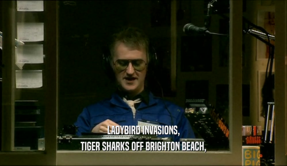 LADYBIRD INVASIONS, TIGER SHARKS OFF BRIGHTON BEACH, 