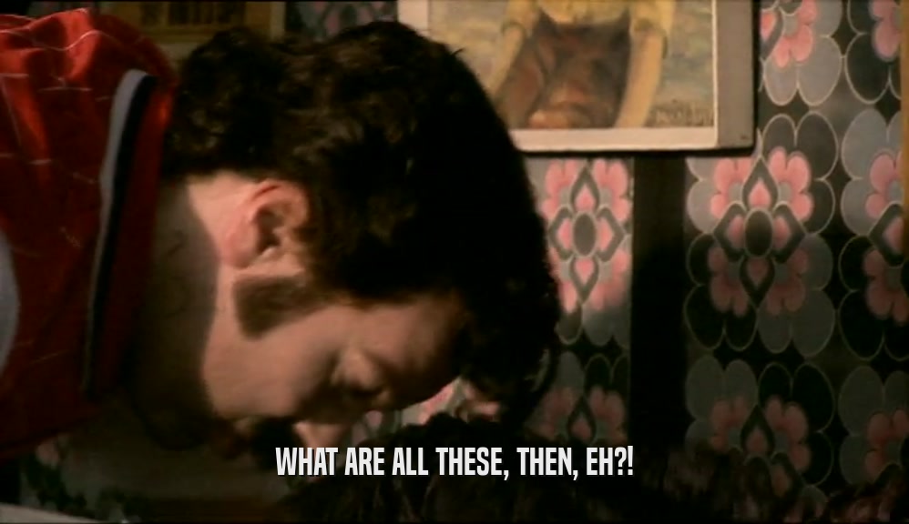 WHAT ARE ALL THESE, THEN, EH?!  
