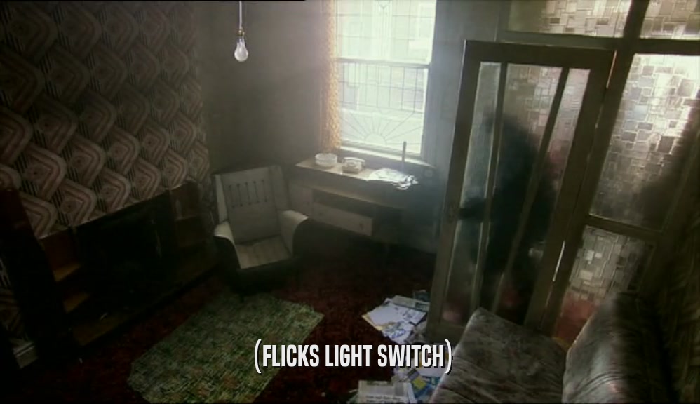 (FLICKS LIGHT SWITCH)  