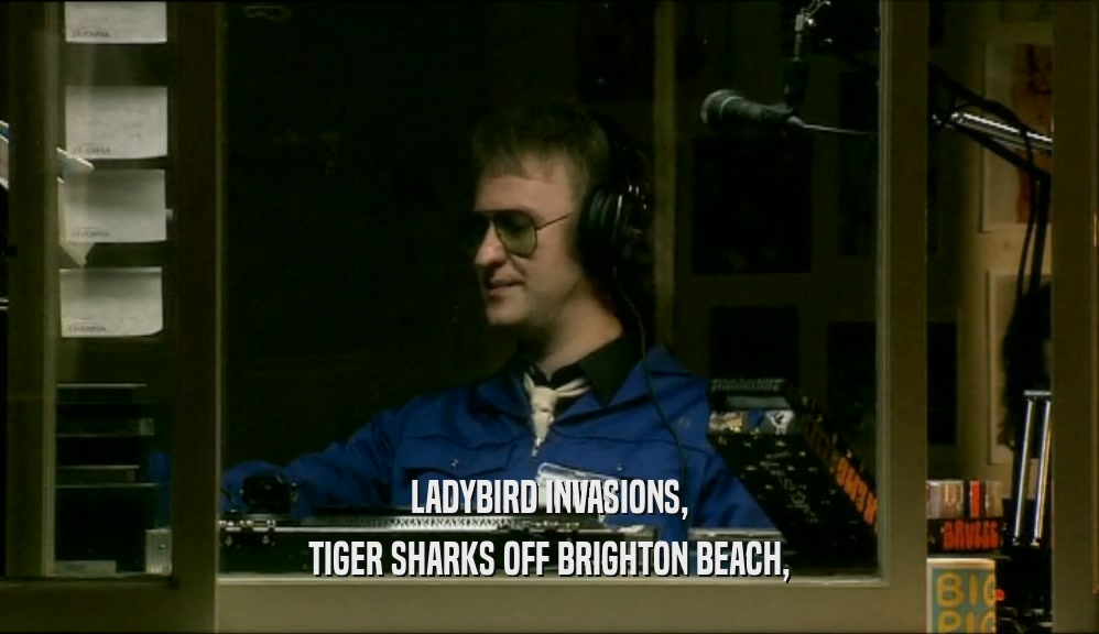 LADYBIRD INVASIONS, TIGER SHARKS OFF BRIGHTON BEACH, 