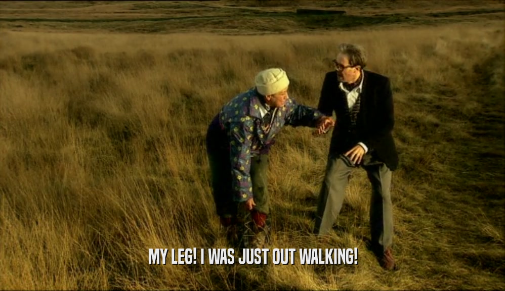 MY LEG! I WAS JUST OUT WALKING!  