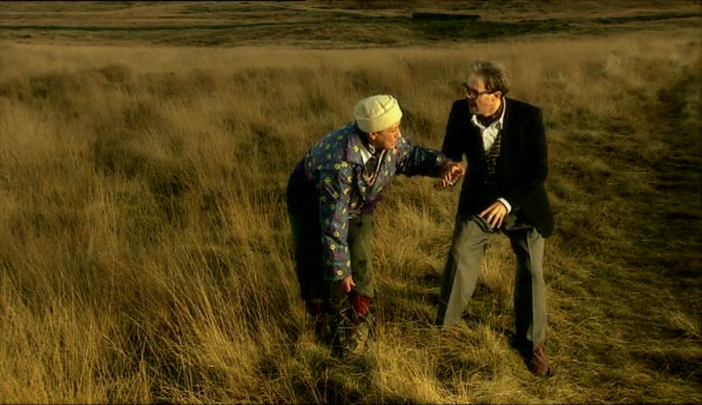 MY LEG! I WAS JUST OUT WALKING!  