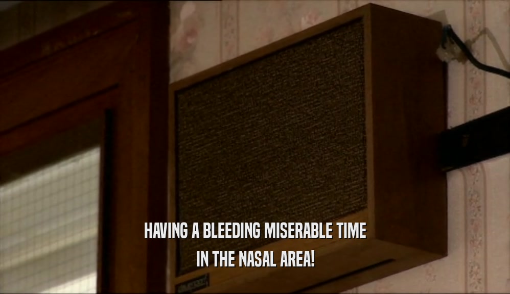 HAVING A BLEEDING MISERABLE TIME IN THE NASAL AREA! 
