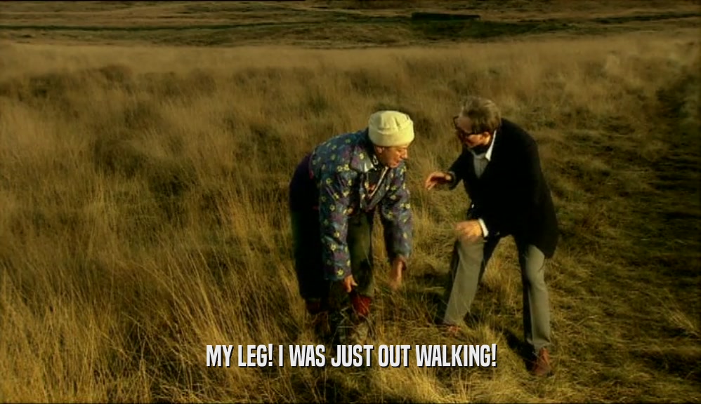 MY LEG! I WAS JUST OUT WALKING!  