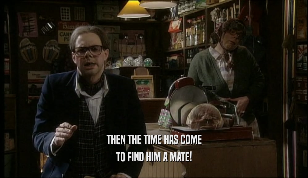 THEN THE TIME HAS COME TO FIND HIM A MATE! 