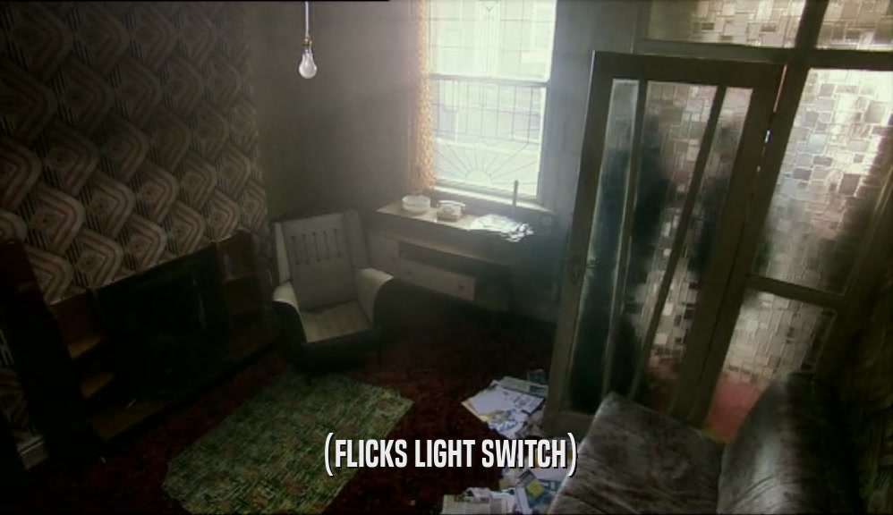(FLICKS LIGHT SWITCH)  