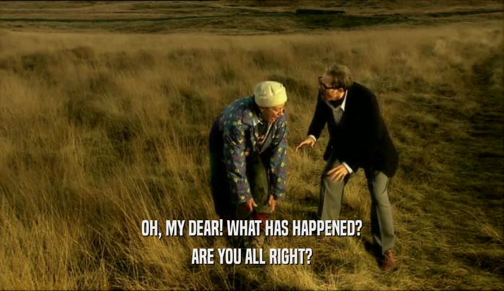 OH, MY DEAR! WHAT HAS HAPPENED? ARE YOU ALL RIGHT? 