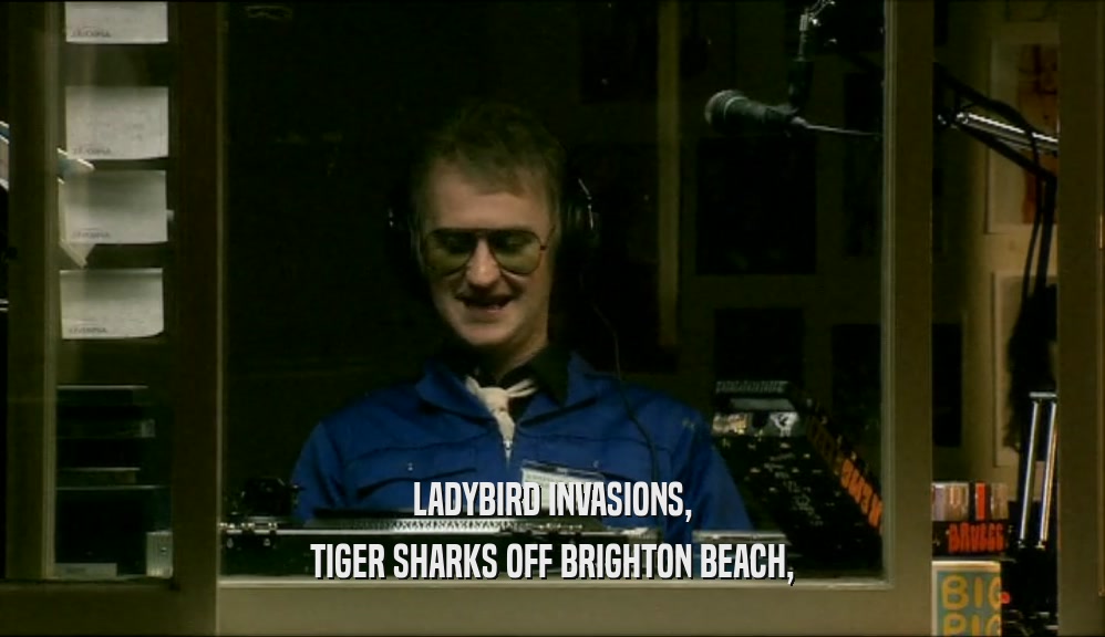 LADYBIRD INVASIONS, TIGER SHARKS OFF BRIGHTON BEACH, 