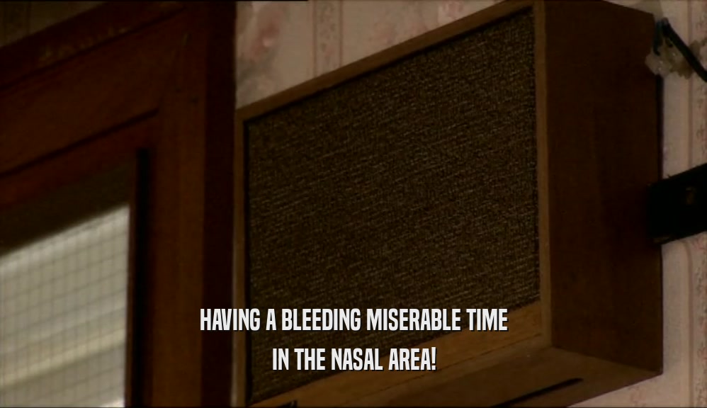HAVING A BLEEDING MISERABLE TIME IN THE NASAL AREA! 