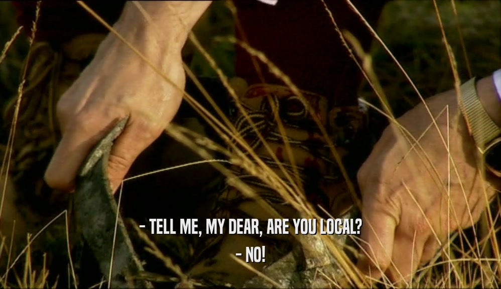 - TELL ME, MY DEAR, ARE YOU LOCAL?
 - NO!
 