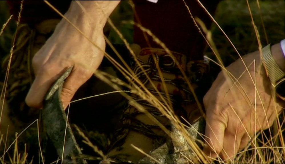 - TELL ME, MY DEAR, ARE YOU LOCAL? - NO! 