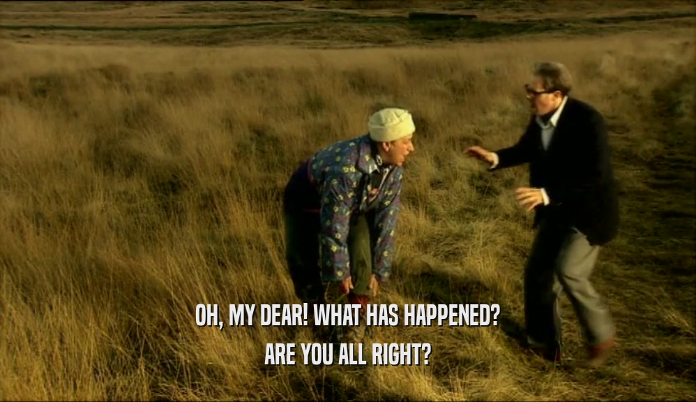 OH, MY DEAR! WHAT HAS HAPPENED? ARE YOU ALL RIGHT? 