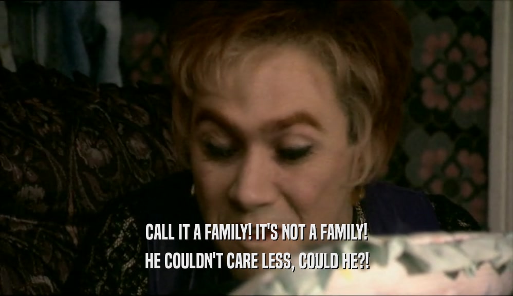 CALL IT A FAMILY! IT'S NOT A FAMILY!
 HE COULDN'T CARE LESS, COULD HE?!
 