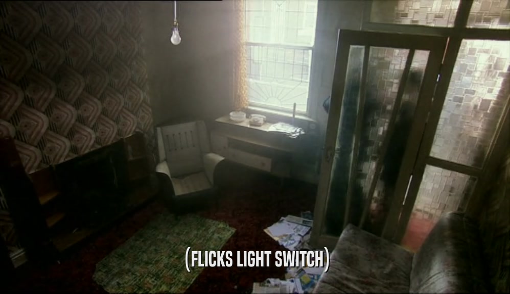 (FLICKS LIGHT SWITCH)  