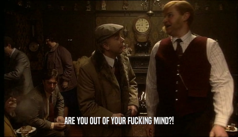 ARE YOU OUT OF YOUR FUCKING MIND?!  