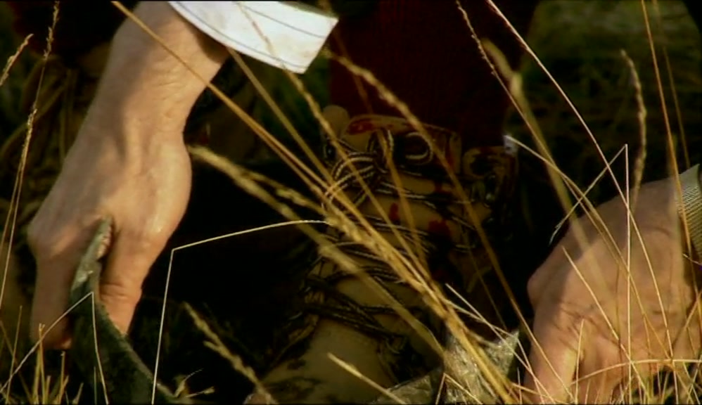- TELL ME, MY DEAR, ARE YOU LOCAL? - NO! 