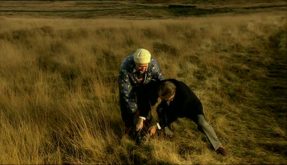 - TELL ME, MY DEAR, ARE YOU LOCAL? - NO! 