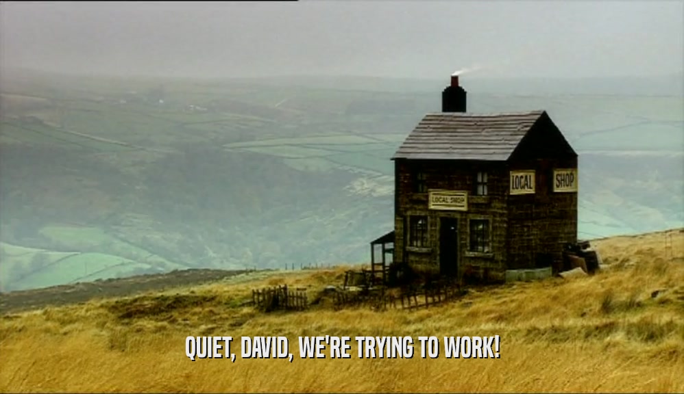 QUIET, DAVID, WE'RE TRYING TO WORK!  