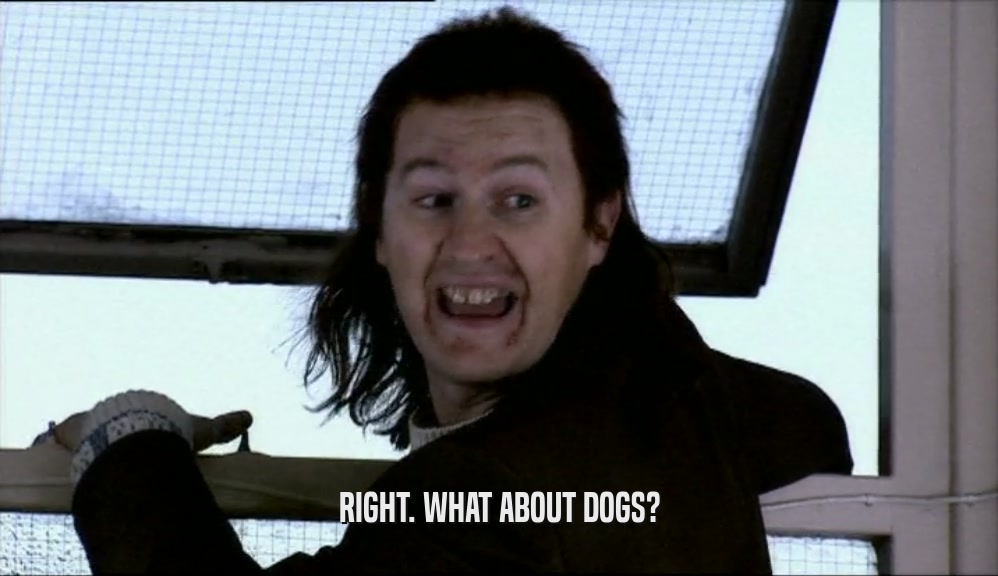 RIGHT. WHAT ABOUT DOGS?  