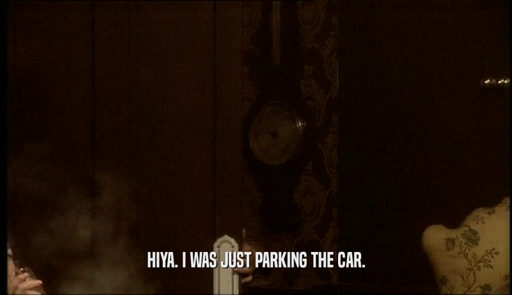 HIYA. I WAS JUST PARKING THE CAR.  