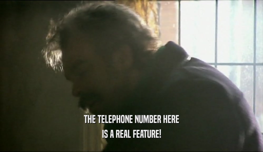 THE TELEPHONE NUMBER HERE IS A REAL FEATURE! 