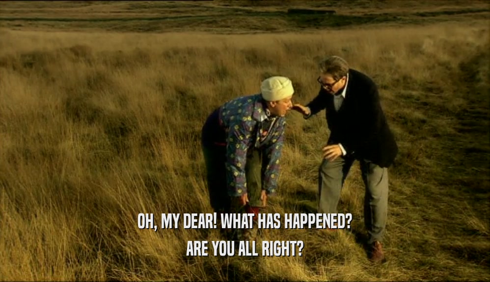 OH, MY DEAR! WHAT HAS HAPPENED? ARE YOU ALL RIGHT? 