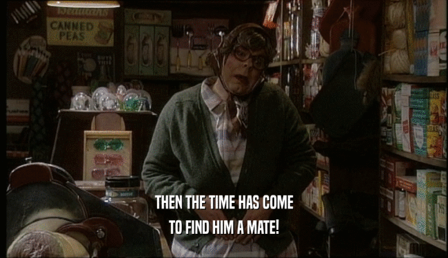THEN THE TIME HAS COME TO FIND HIM A MATE! 