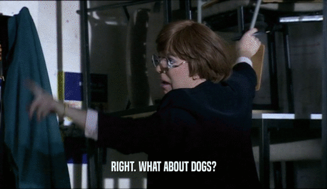 RIGHT. WHAT ABOUT DOGS?  