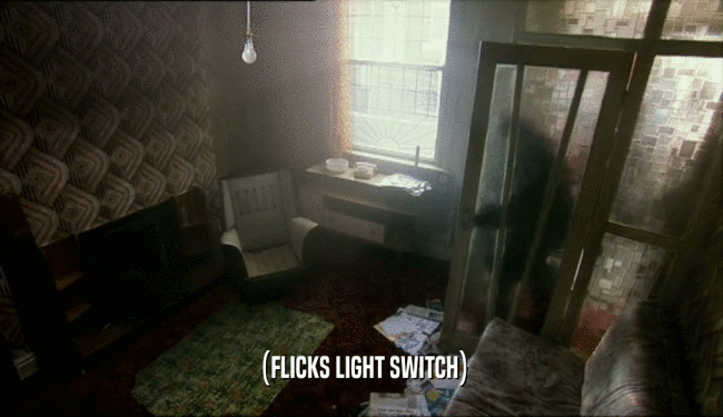 (FLICKS LIGHT SWITCH)  