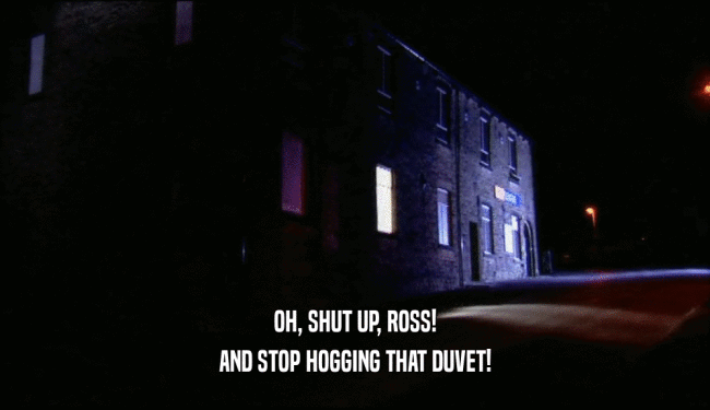 OH, SHUT UP, ROSS! AND STOP HOGGING THAT DUVET! 