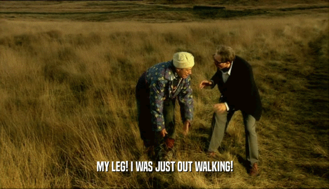 MY LEG! I WAS JUST OUT WALKING!  