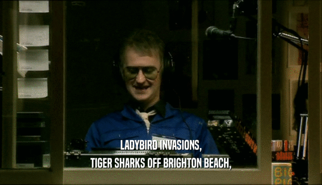 LADYBIRD INVASIONS, TIGER SHARKS OFF BRIGHTON BEACH, 