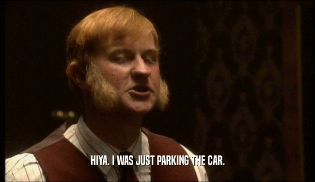 HIYA. I WAS JUST PARKING THE CAR.  