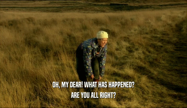 OH, MY DEAR! WHAT HAS HAPPENED? ARE YOU ALL RIGHT? 